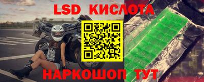 шишки Можга