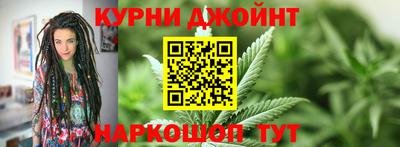 гашик Моздок