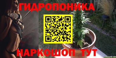 гашик Моздок