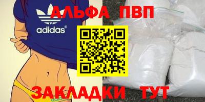 шишки Можга