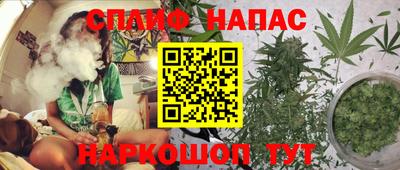гашик Моздок
