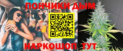 шишки Можга