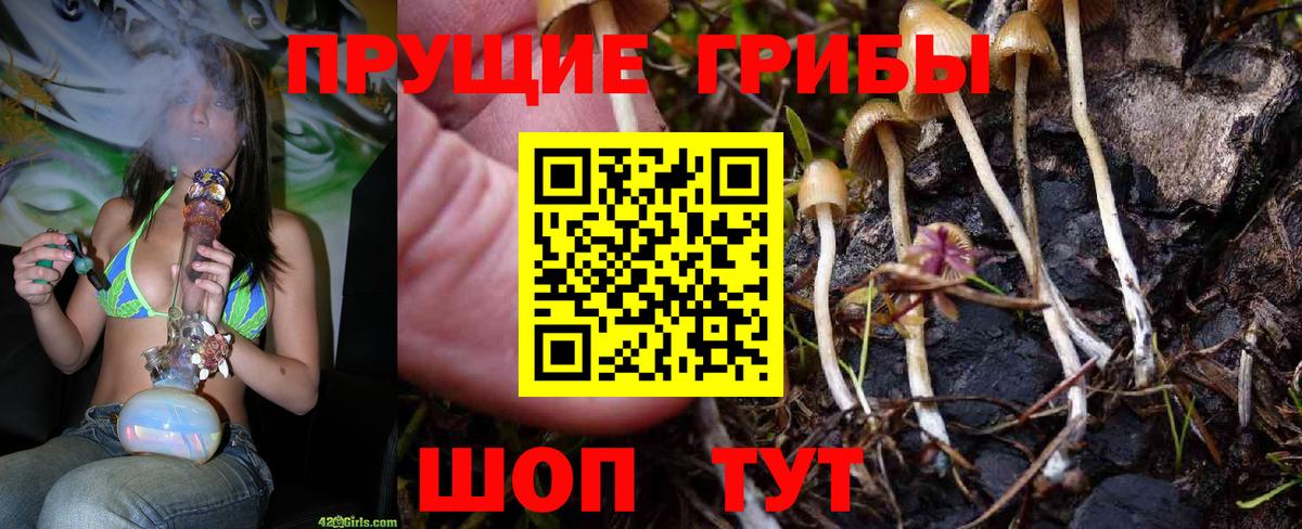 Саратов  Псилоцибиновые грибы мухоморы  Вход с VPN 